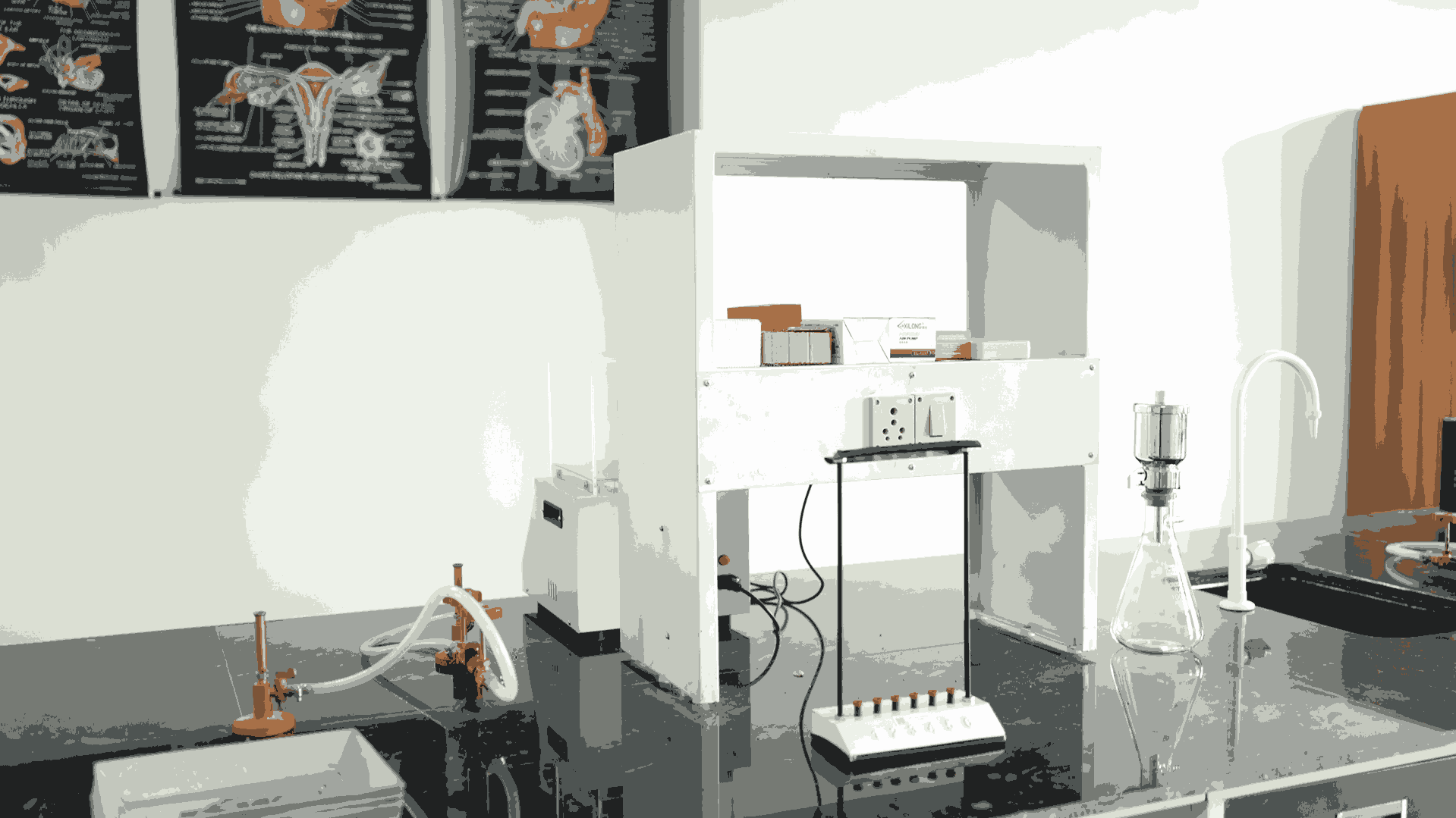 Pragjyotishpur University Guwahati Pharmacology lab photo 2